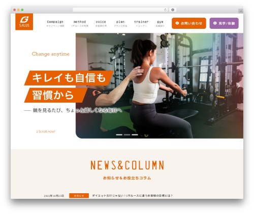 Vk filter search pro WordPress plugin - gsalus.com
