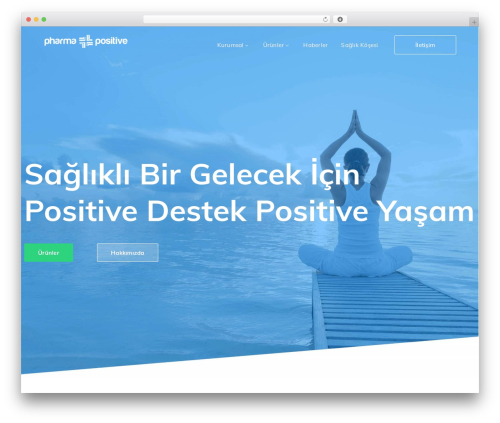 StartFlow WP theme - pharmapositive.com.tr