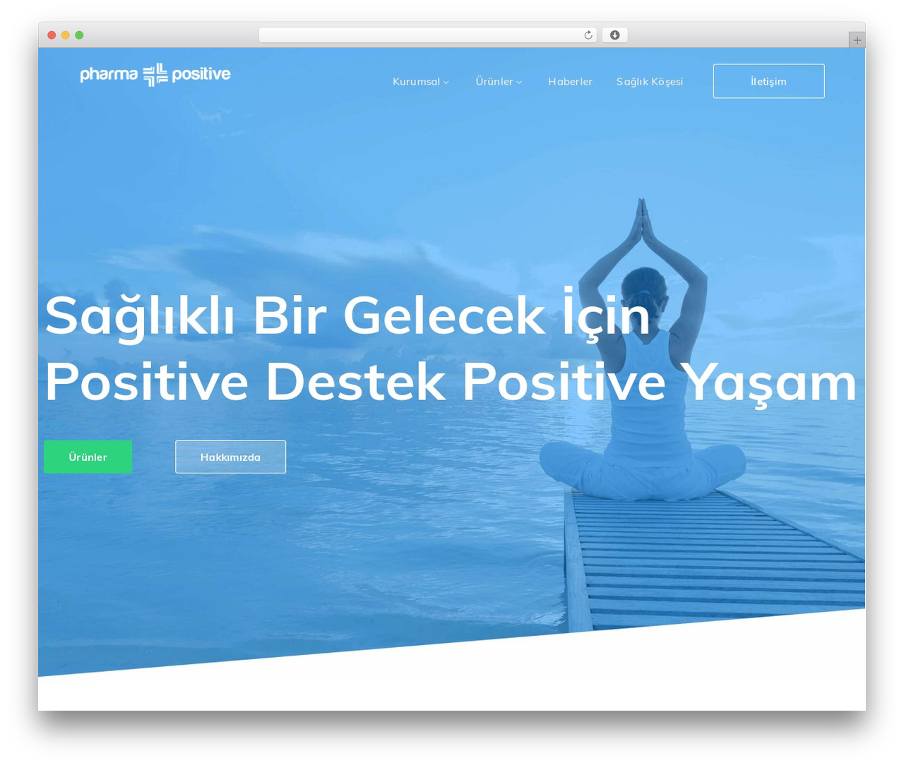 StartFlow WP theme - pharmapositive.com.tr