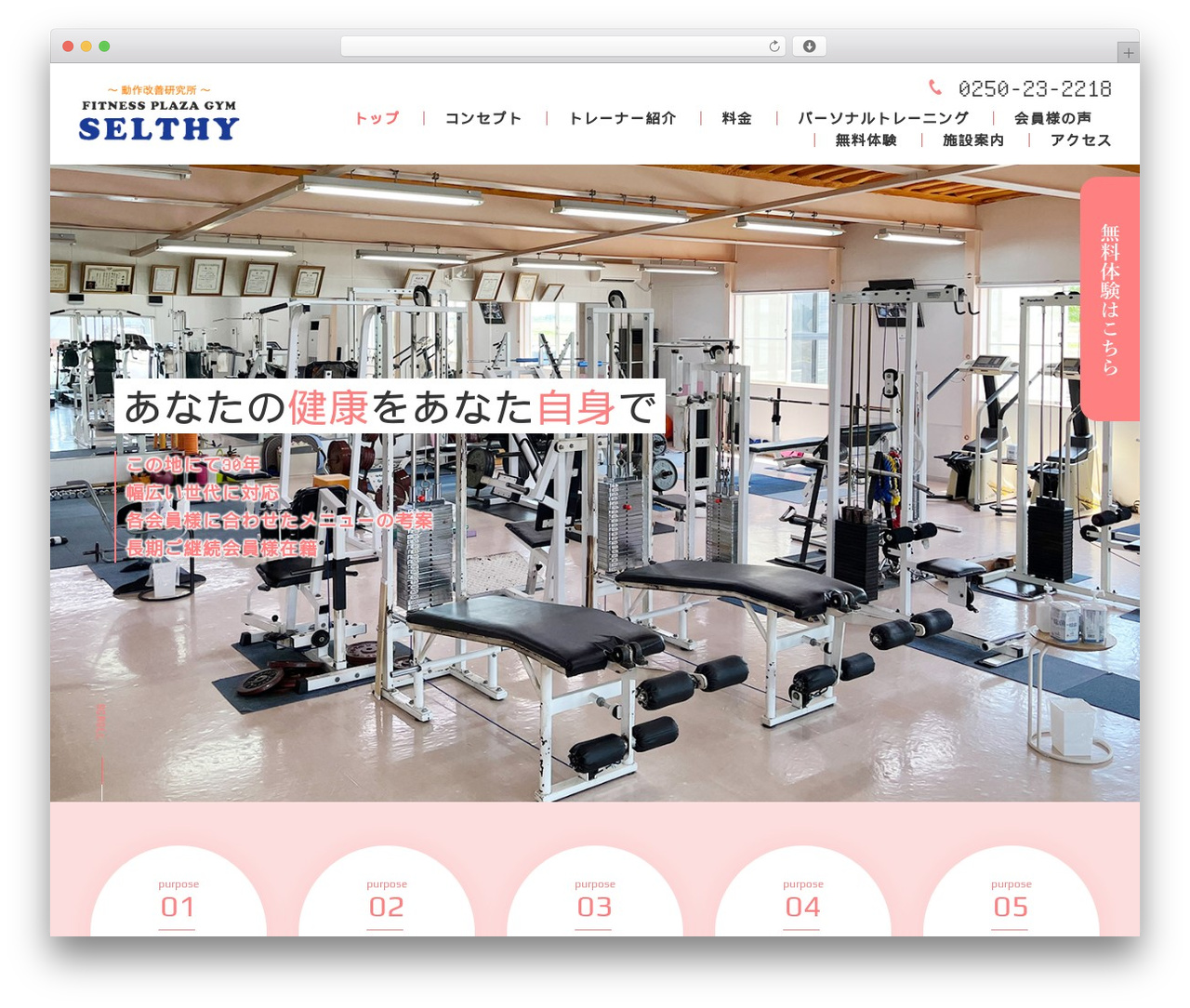 Themify Basic best WordPress theme - selthy1995.com