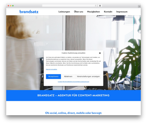 WordPress theme Innovio - brandsatz.com