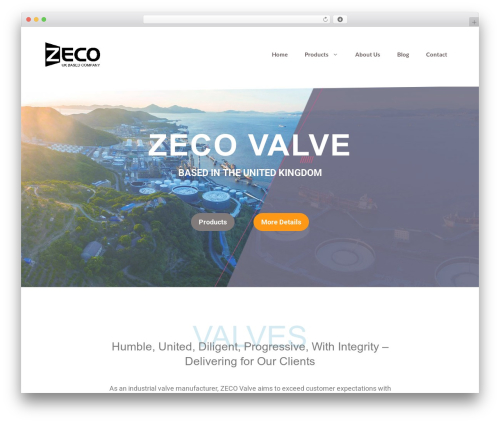 Ai share summarize WordPress plugin - zecovalve.com