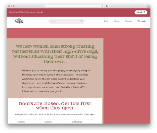 Youzify activity reactions WordPress plugin - ladiesworkingdoggroup.com