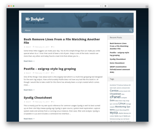 Nevertheless theme WordPress - mrbuckykat.com