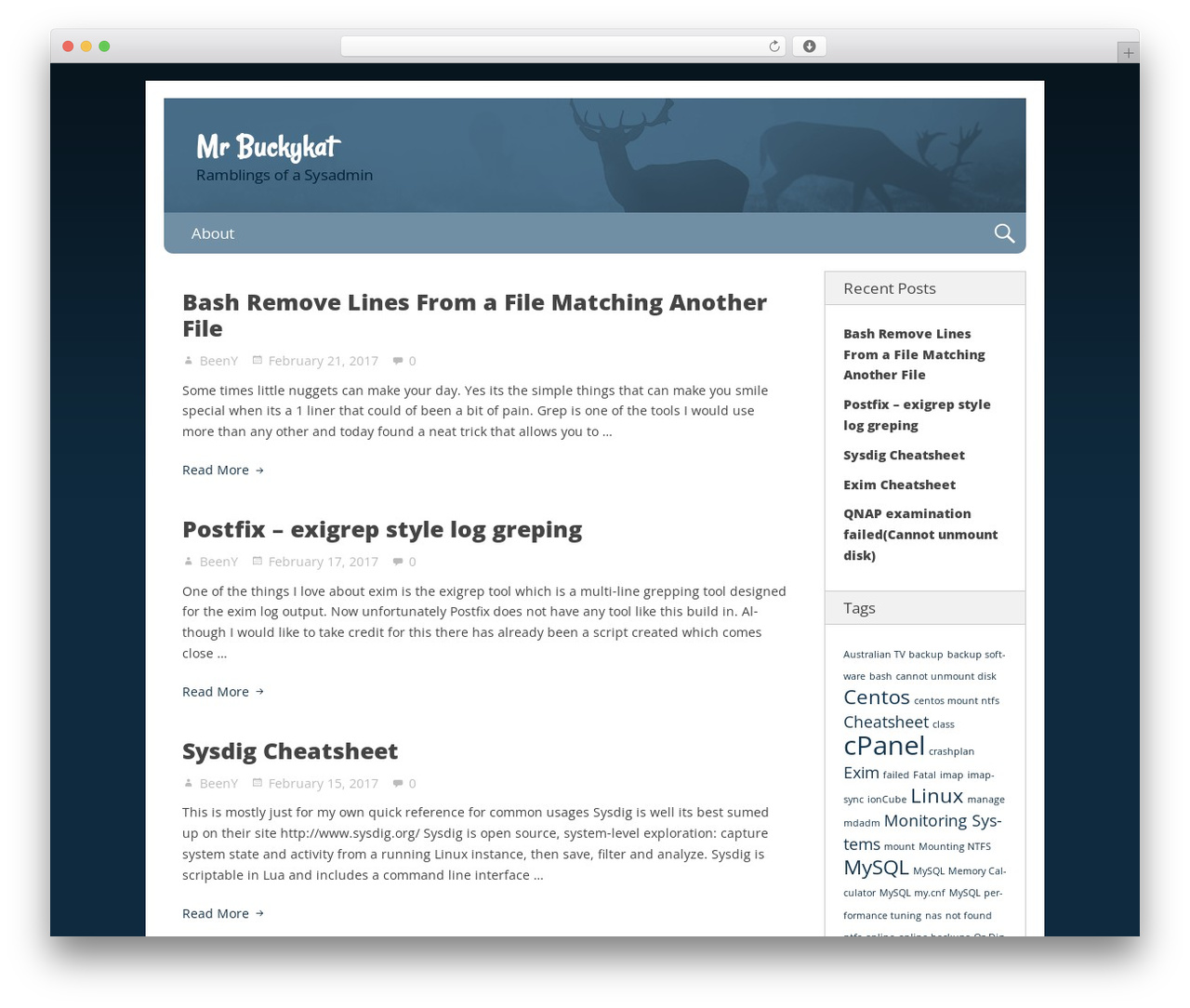 Nevertheless theme WordPress - mrbuckykat.com