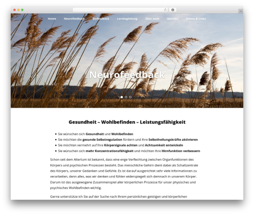 Optimizer PRO top WordPress theme - neurofeedbacktraining.ch Optimizer PRO top WordPress theme - neurofeedbacktraining.ch