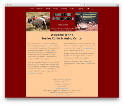 Dynamic front end heartbeat control WordPress plugin - bcollies.com