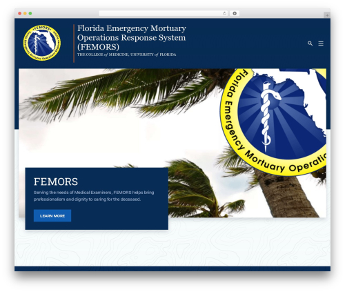WordPress theme Apollo - femors.org