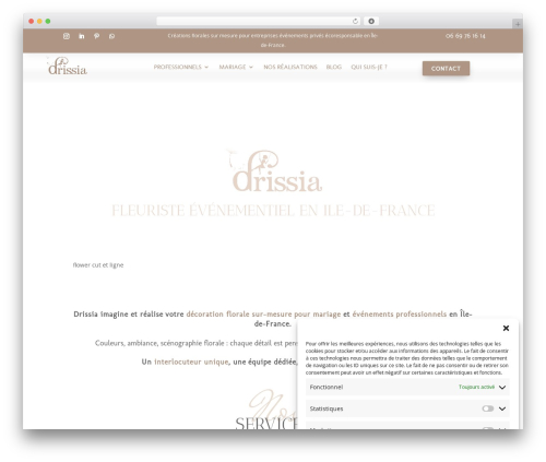 Next image effect lite WordPress plugin - drissia.fr