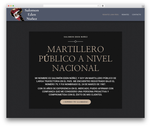 WordPress theme Divi - edenremates.com