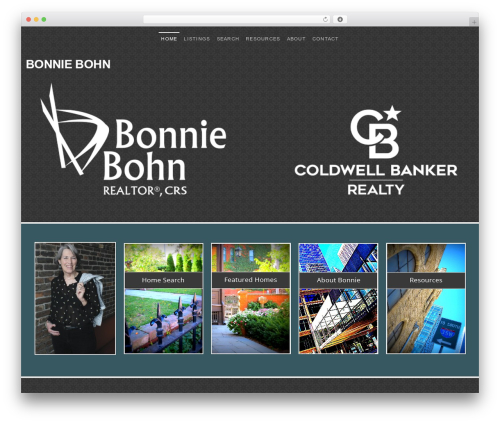 WordPress theme Showcase Pro - bonniebohn.com