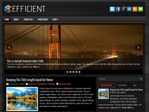 Efficient WordPress blog theme by FThemes