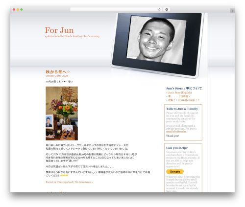 Esther premium WordPress theme - forjun.org