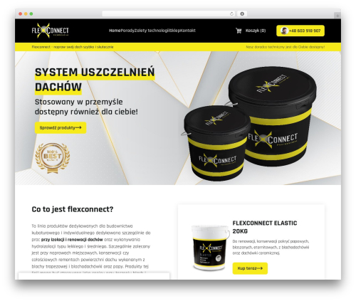 Flexconnect WordPress theme - flexconnect.pl