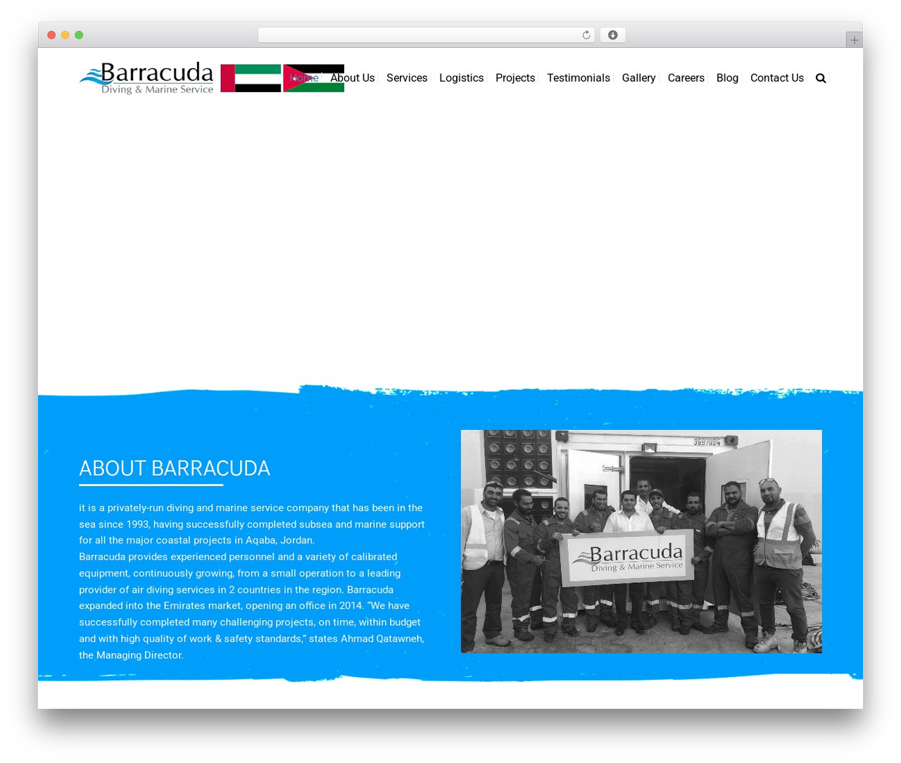 iCpanel WP theme - barracudaservice.com
