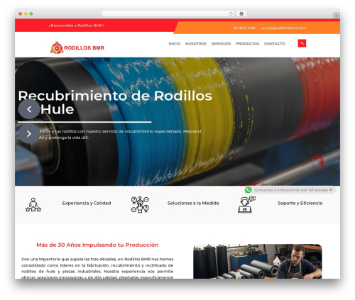Theme WordPress Educat - rodillosbmr.com