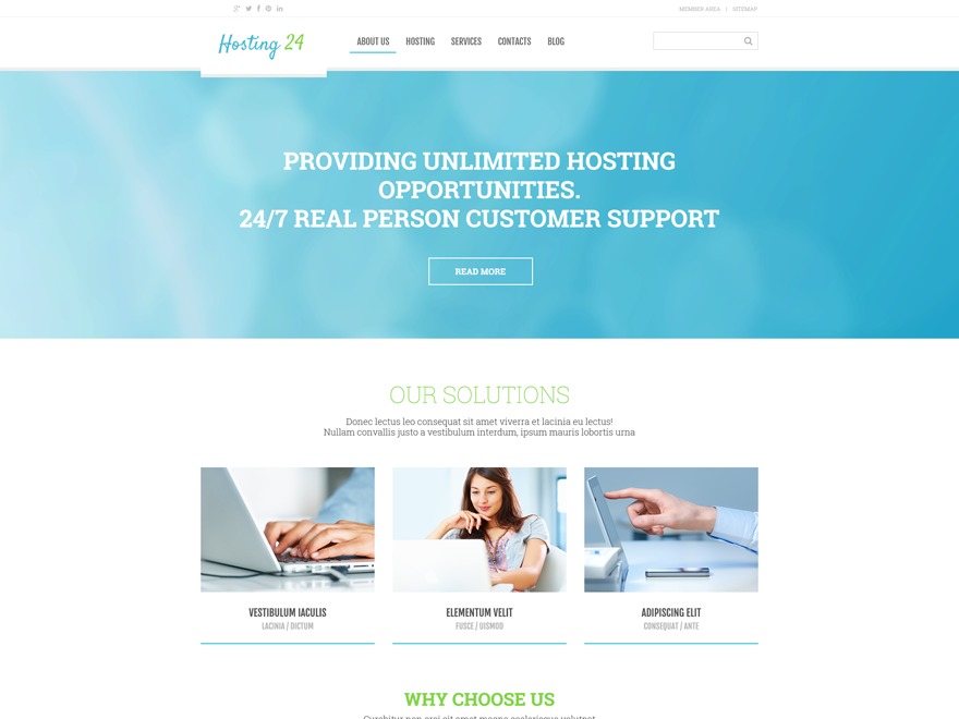 theme54791 WordPress theme