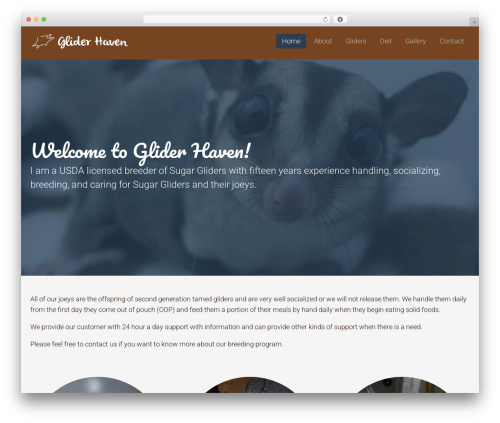 WordPress theme Flat Theme - sugargliderhaven.com WordPress theme Flat Theme - sugargliderhaven.com