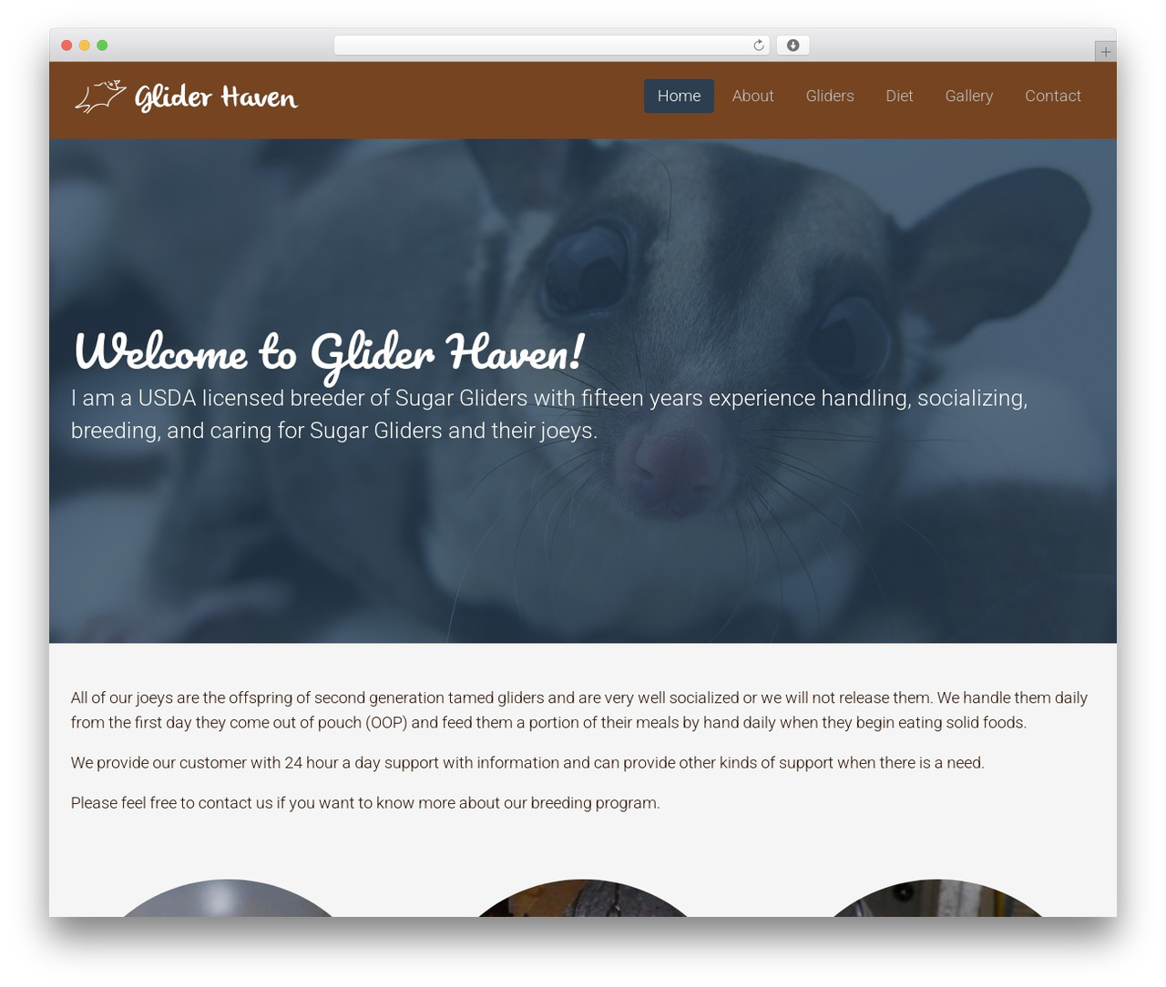 WordPress theme Flat Theme - sugargliderhaven.com WordPress theme Flat Theme - sugargliderhaven.com