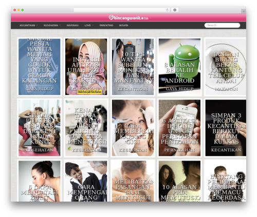 WordPress theme PinStrap - bincangwanita.com