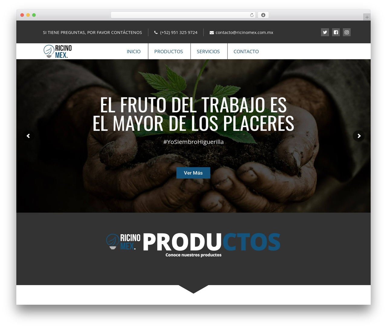 WordPress theme Ecorecycle - ricinomex.com.mx