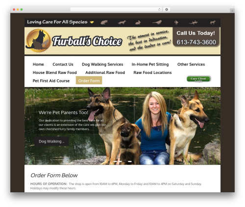 Calculated Fields Form (calculated-fields-form) free WordPress plugin - furballschoice.com