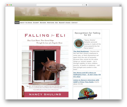 ZenLite WordPress theme - fallingforeli.com
