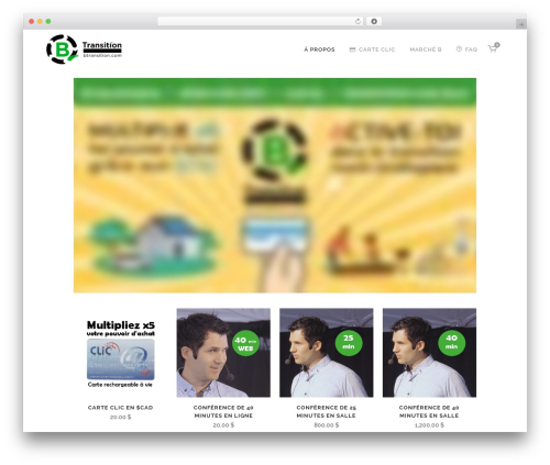 Wp media folder addon WordPress plugin - btransition.com