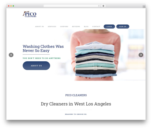 GoWash WordPress theme - picocleaners.com