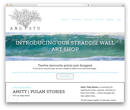 Inavii social feed for elementor WordPress plugin - stradbrokeislandphotography.com
