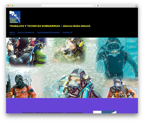 Stackable WordPress theme - tecnicassubmarinas.com