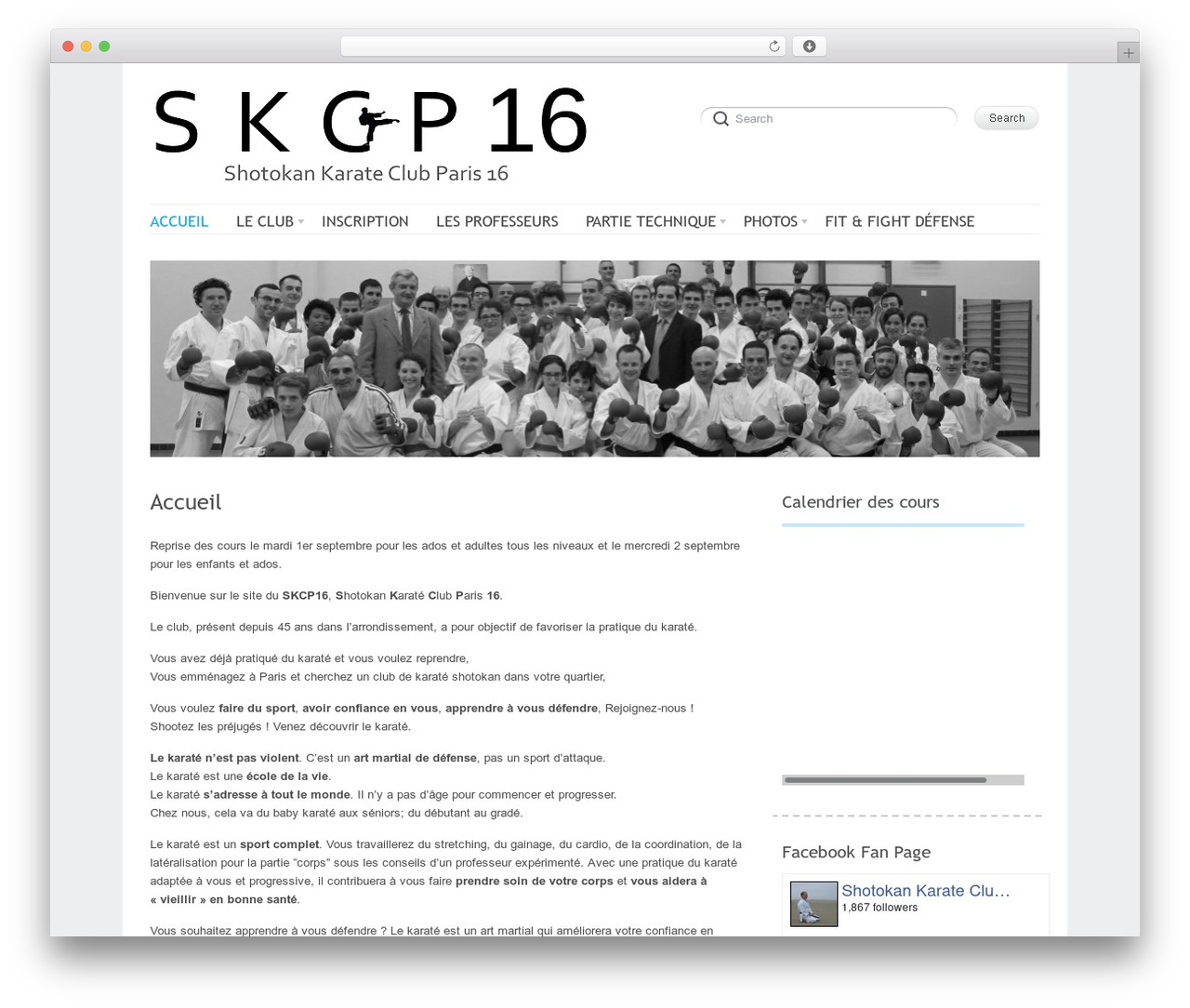 Delicate theme WordPress - skcp16.org