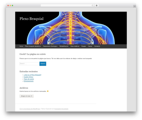 Expound WordPress theme - plexobraquial.cl
