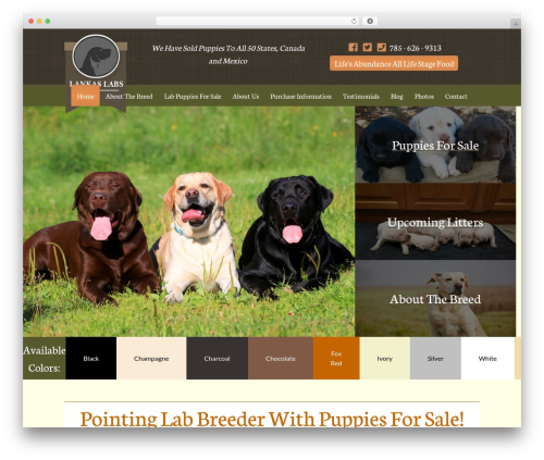 Custom Responsive (SASS) Theme WordPress theme - lankaslabs.com