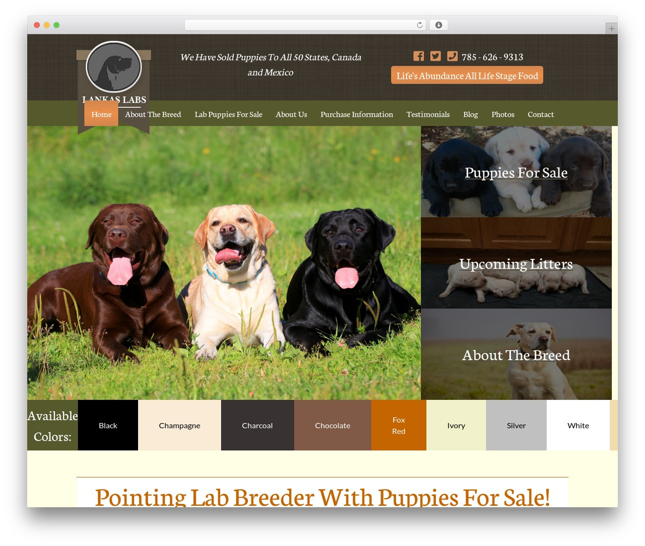 Custom Responsive (SASS) Theme WordPress theme - lankaslabs.com Custom Responsive (SASS) Theme WordPress theme - lankaslabs.com