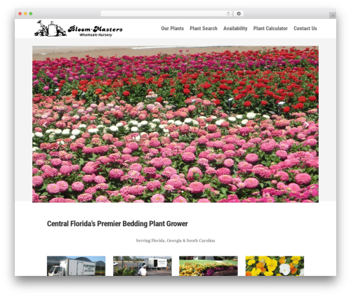 Smart WooCommerce Search (smart-woocommerce-search) free WordPress plugin - bloom-masters.com