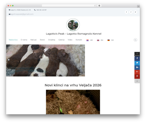 Easy Social Sharing (easy-social-sharing) free WordPress plugin - lagottospeak.com