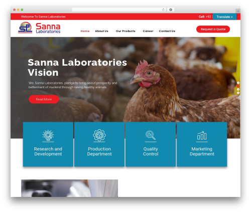 Medinet theme WordPress - sannalabs.com