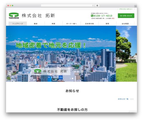 Lightning skin pale WordPress plugin - e-takushin.co.jp