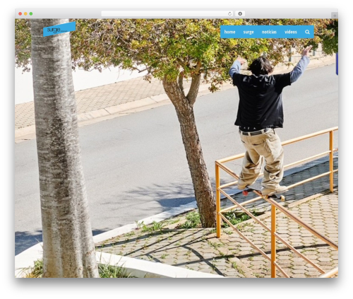 Wppas WordPress plugin - surgeskateboard.com