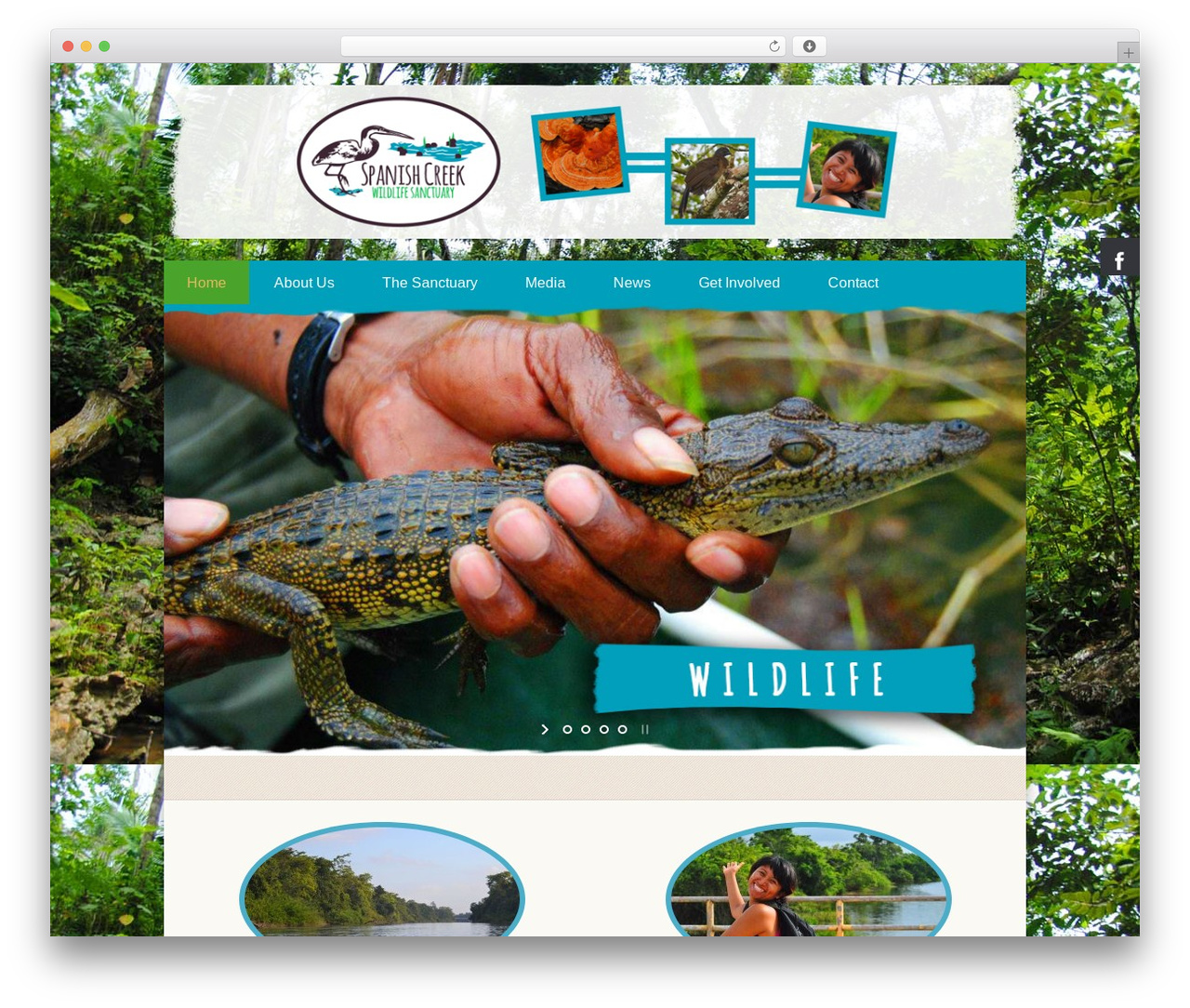 WordPress theme Earth - spanishcreekwildlife.org