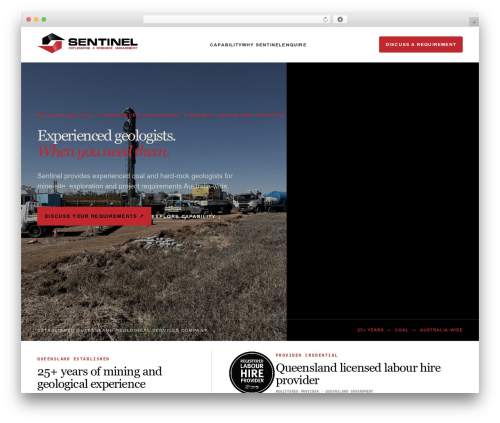 WordPress theme Hello Elementor - sentinel-erm.com.au