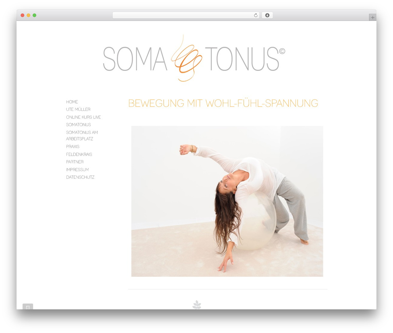 WordPress website theme PlatformPro - somatonus.com WordPress website theme PlatformPro - somatonus.com