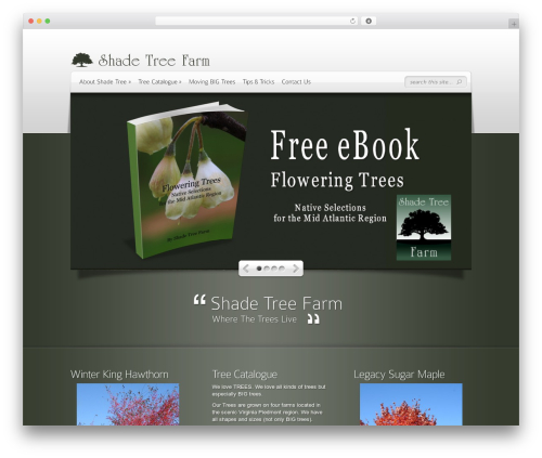 1 flash gallery WordPress plugin - shadetreefarm.com
