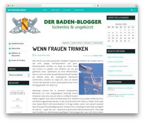 Live Visitor Counter (wp-visitors-widget) free WordPress plugin - badenblogger.de