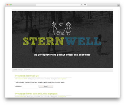 picolight WordPress theme - sternwell.com