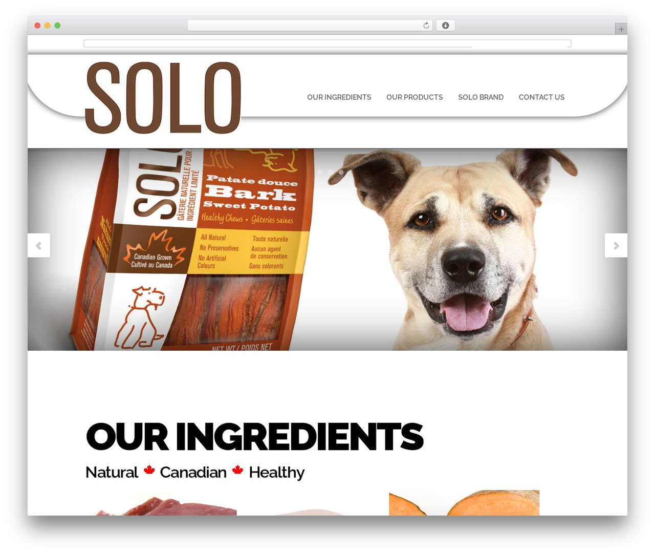 Status Theme WordPress theme - solopet.ca Status Theme WordPress theme - solopet.ca