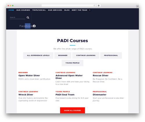 Basekit addons WordPress plugin - diveodyssea.net