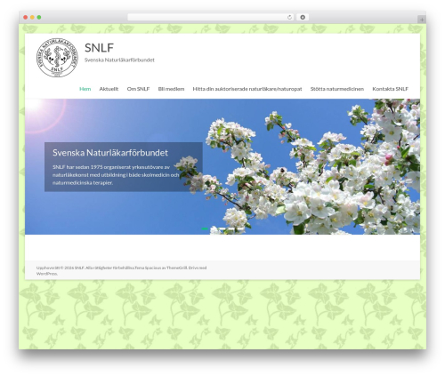 WP Author, Date and Meta Remover (wp-author-date-and-meta-remover) free WordPress plugin - snlf.se WP Author, Date and Meta Remover (wp-author-date-and-meta-remover) free WordPress plugin - snlf.se