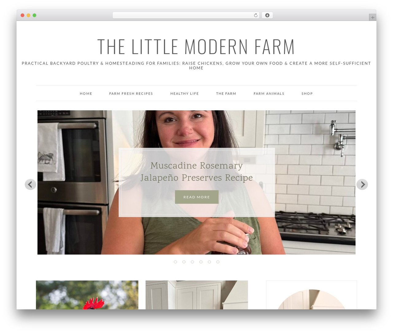 WordPress theme Willow - thelittlemodernfarm.com WordPress theme Willow - thelittlemodernfarm.com